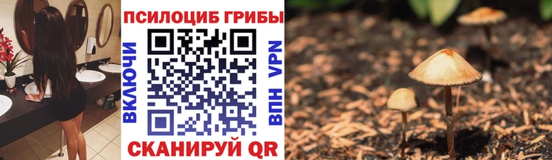 купить наркотик  Сафоново  Галлюциногенные грибы прущие грибы 